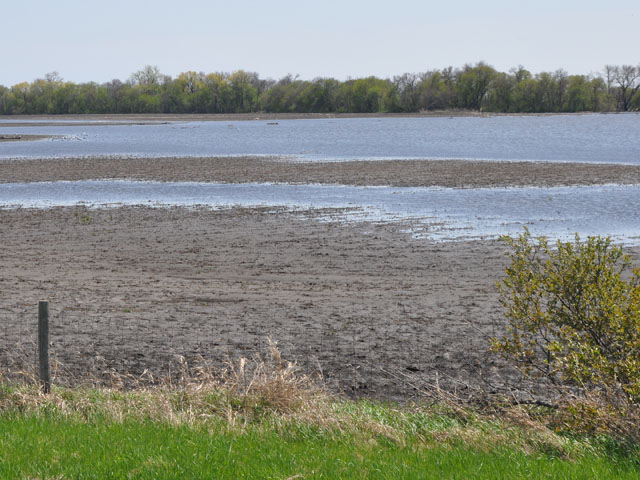 As April advances, many fields in the Corn Belt remain too ponded or saturated for fieldwork and planting. (DTN file photo by Russ Quinn)